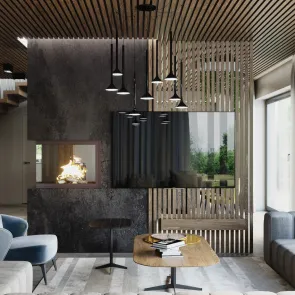 dom w stylu nowoczesnym zabor  